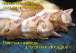 Лучшие матрицы
