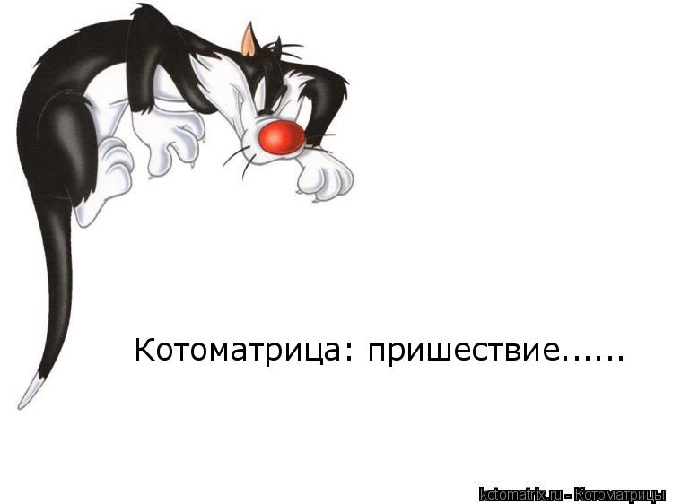 Котоматрица: 