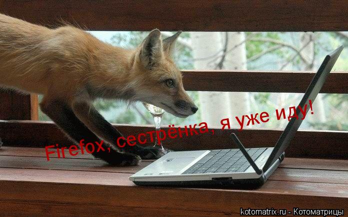 ... Котоматрица: