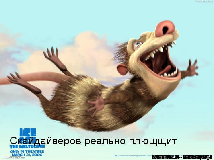 Котоматрица: 