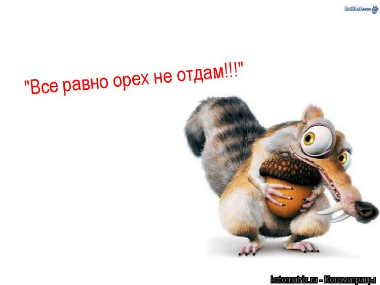 Котоматрица: 