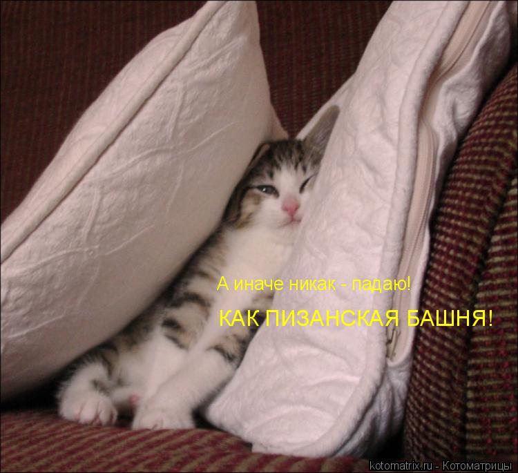 ... Котоматрица: