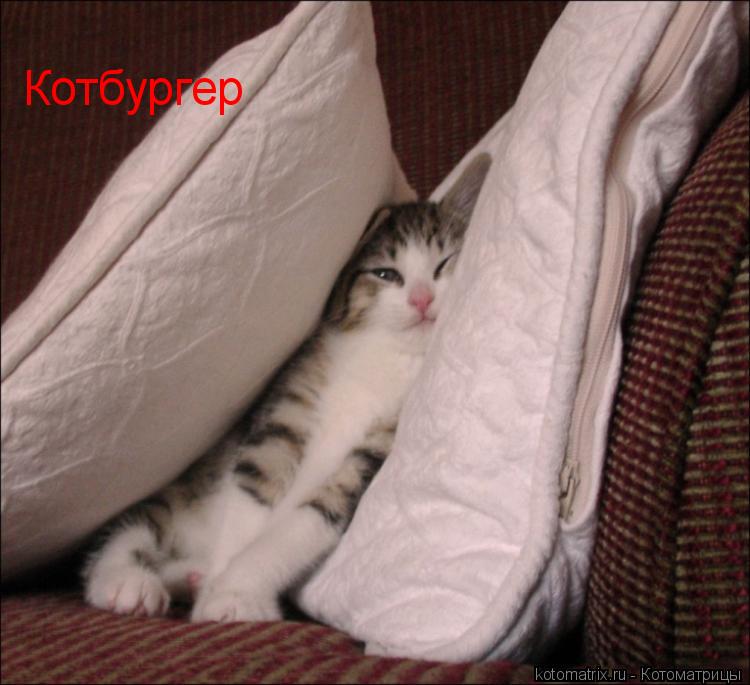 Котоматрица: 