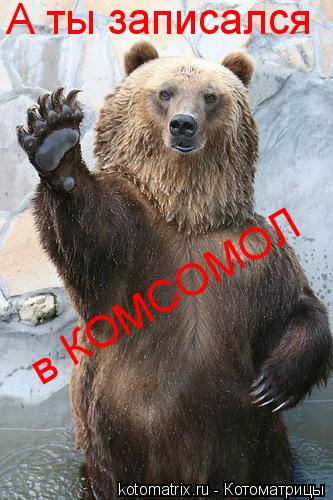 Котоматрица: 