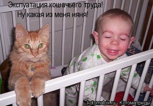 Котоматрица: 