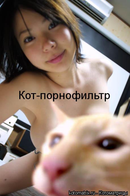 Котоматрица: 