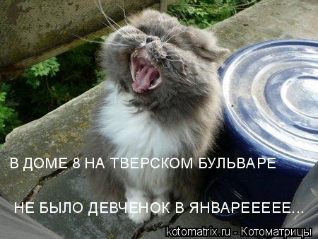 Котоматрица: 