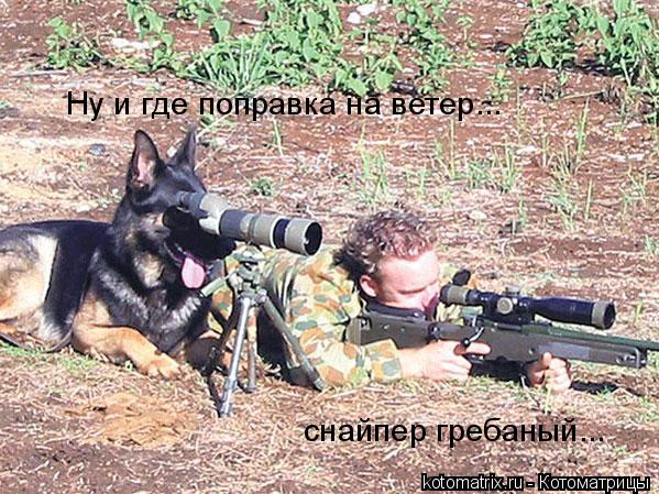 ... Котоматрица: