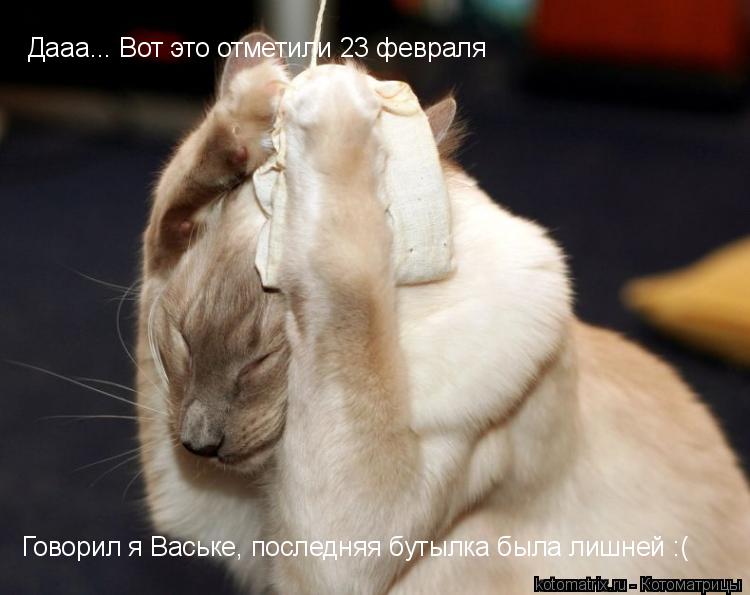 Котоматрица: 