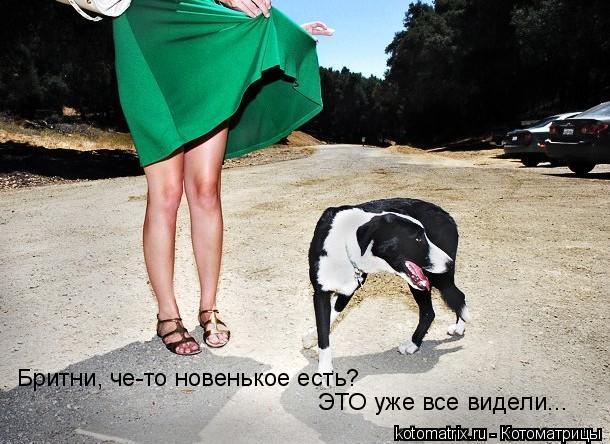 ... Котоматрица: