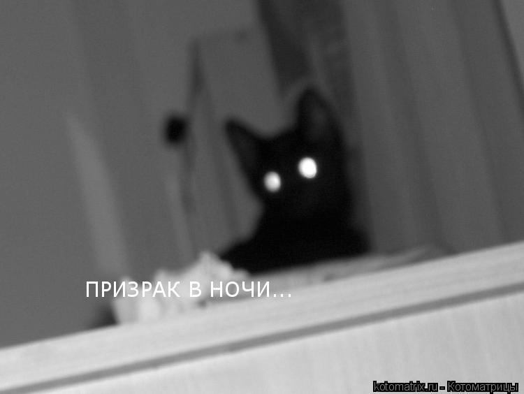 Котоматрица: 