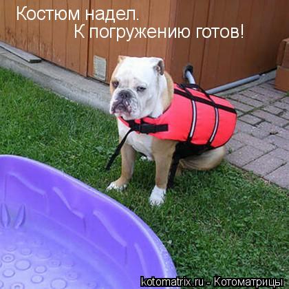... Котоматрица: