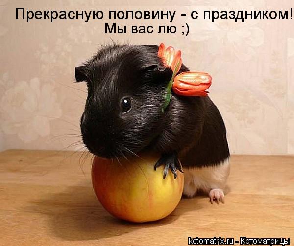 Котоматрица: 