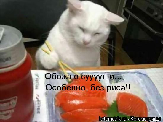 Котоматрица: 