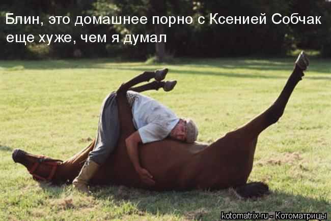 Котоматрица: 