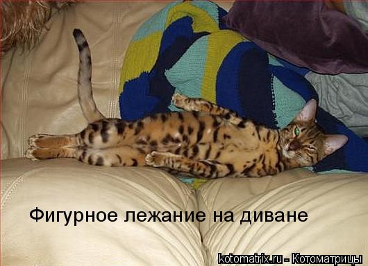 Котоматрица: 