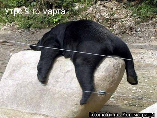 Котоматрица: 