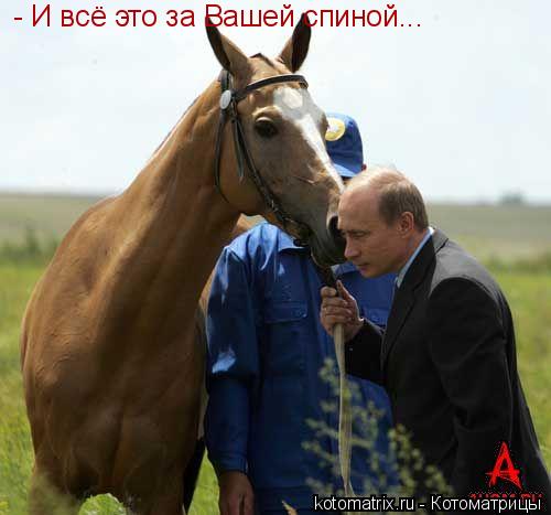 Котоматрица: 