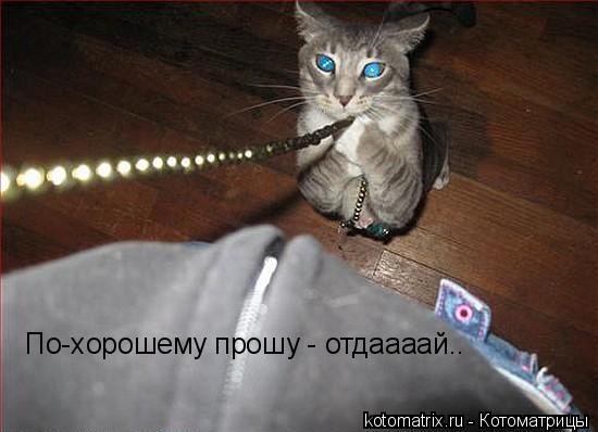 Котоматрица: 