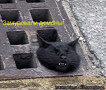 Котоматрица: 