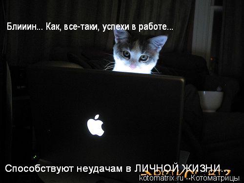 Котоматрица: 