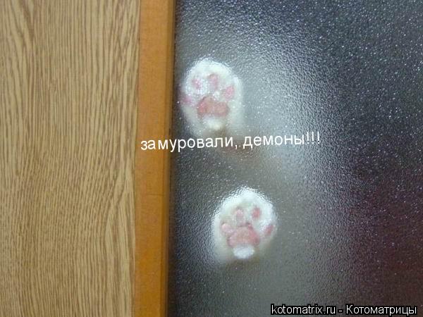 Котоматрица: 