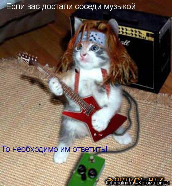 ... Котоматрица: