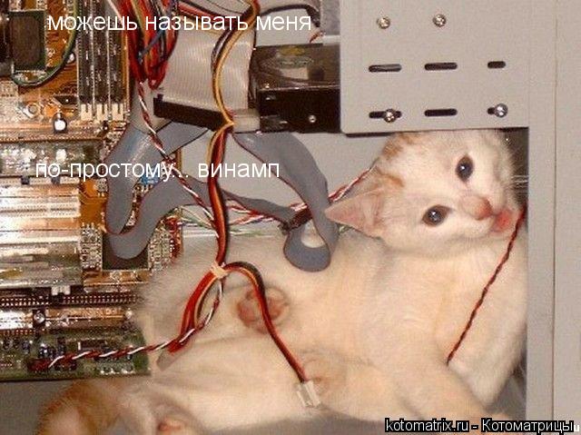 Котоматрица: 