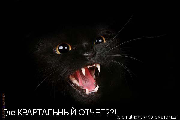 Котоматрица: 