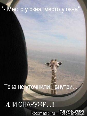 Котоматрица: 