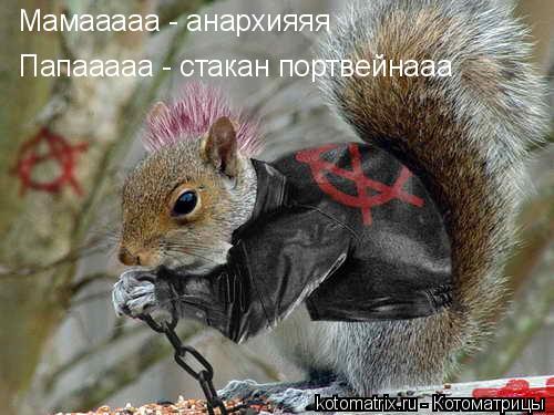 ... Котоматрица: