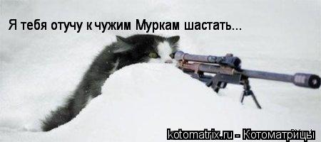 Котоматрица: 