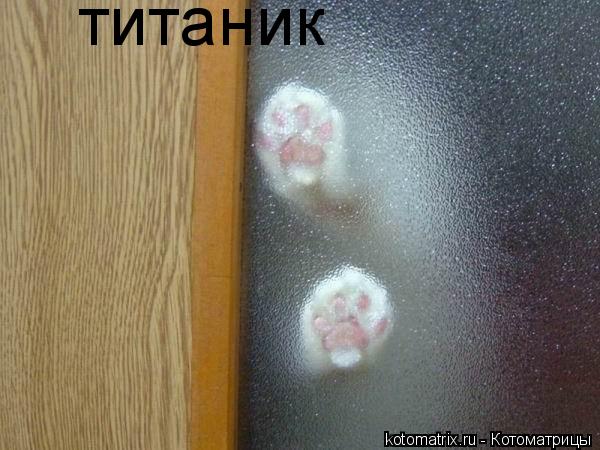 Котоматрица: 