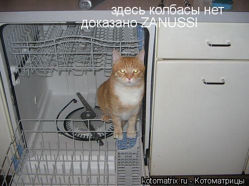 Котоматрица: 