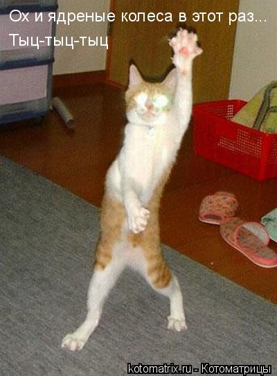 Котоматрица: 