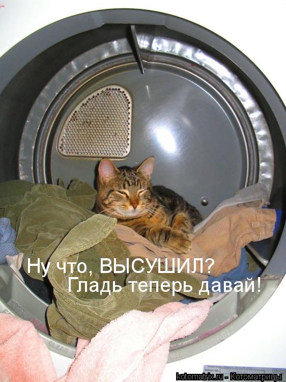 Котоматрица: 