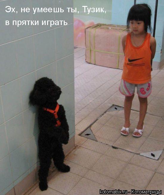 ... Котоматрица: