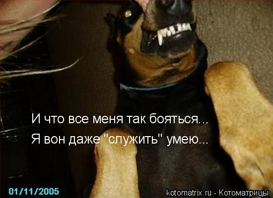 Котоматрица: 