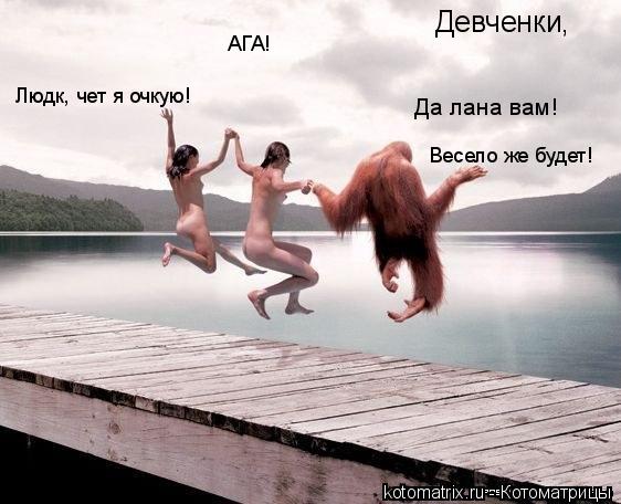 ... Котоматрица: