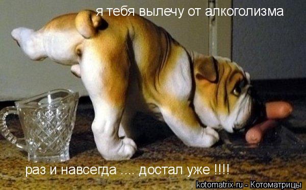 Котоматрица: 