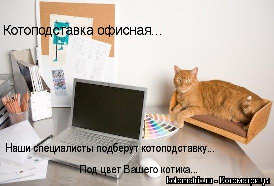 Котоматрица: 