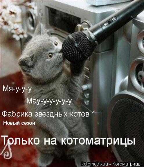 ... Котоматрица:
