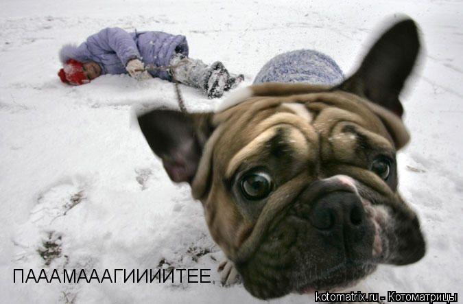 ... Котоматрица: