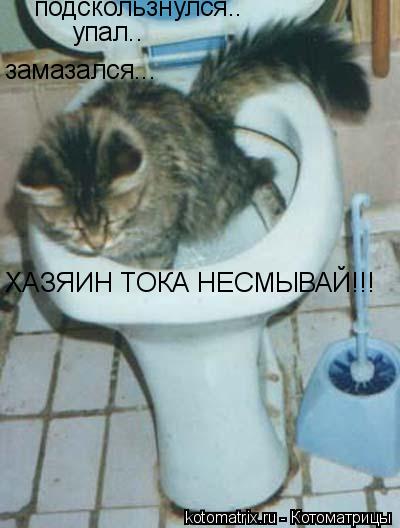 ... Котоматрица: