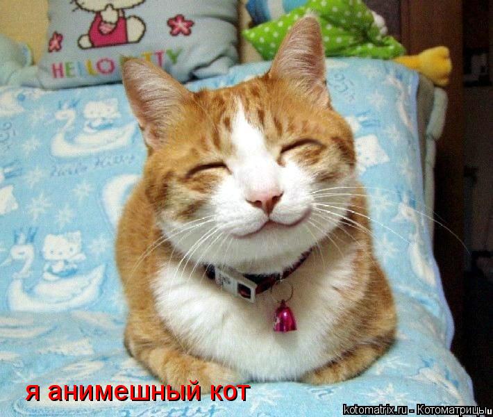 http://kotomatrix.ru/images/lolz/2008/04/17/Mi.jpg