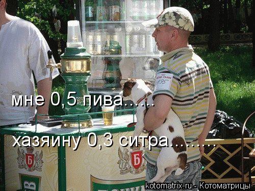 ... Котоматрица:
