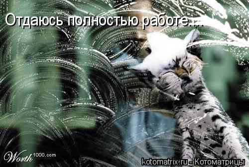 ... Котоматрица: