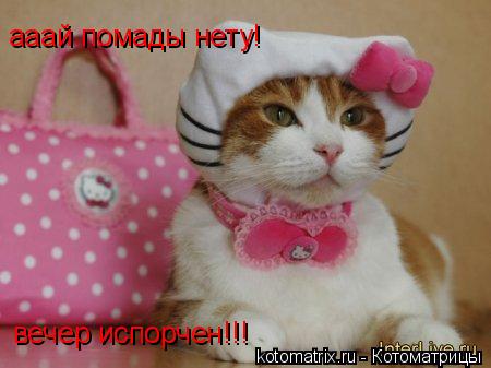 ... Котоматрица: