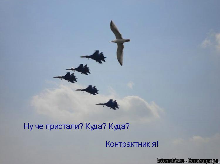 ... Котоматрица: