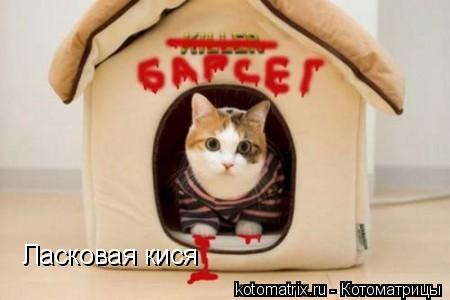 ... Котоматрица: